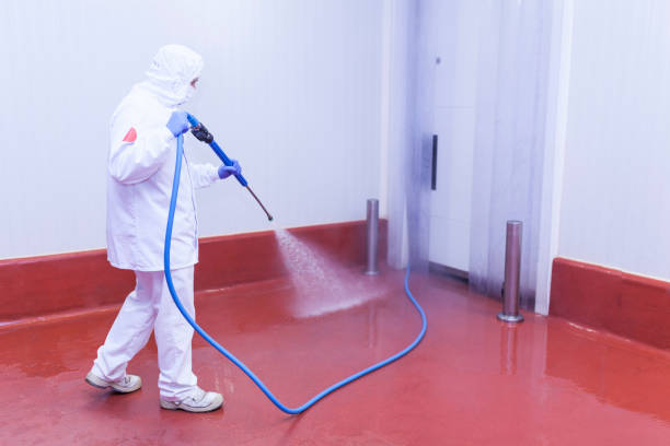 Best Patio and Deck Pressure Washing  in El Dorado Springs, MO
