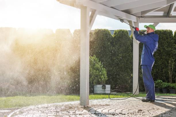 Best Gutter Cleaning  in El Dorado Springs, MO