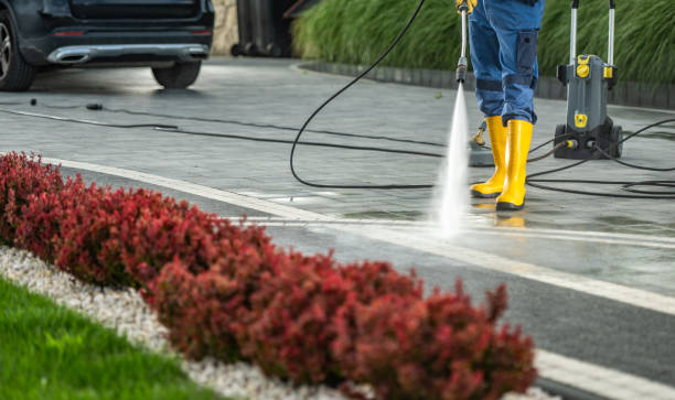 Best Driveway Pressure Washing  in El Dorado Springs, MO